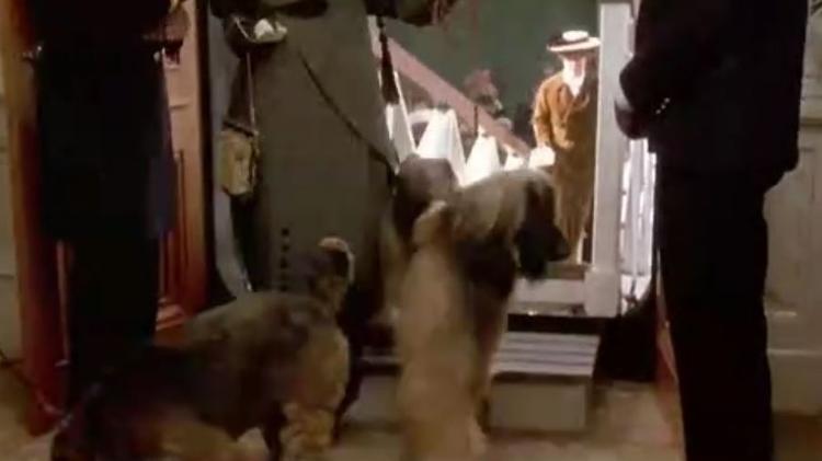Cachorros entram dentro do Titanic - Reprodução - Reprodução