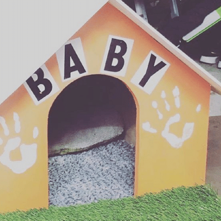 Rodrigo Hilbert constrói casinha de cachorro com os filhos - Reprodução/Instagram/@rodrigohilbert