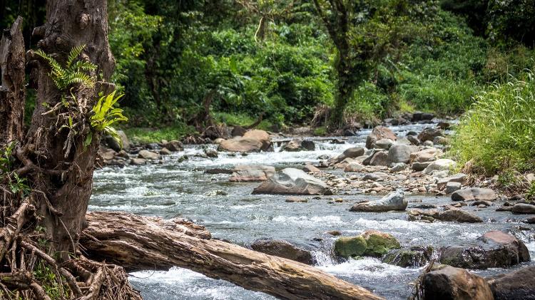 Rio em Papua-Nova Guiné - Getty Images