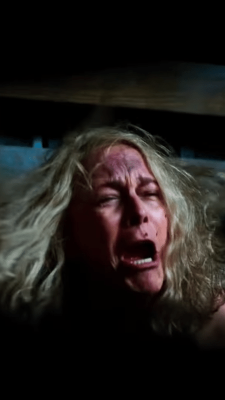 Ciência aponta que 'A Entidade' é o filme mais assustador de todos os  tempos; Confira o Top 10! - CinePOP