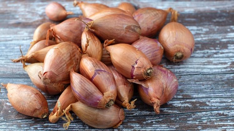 Cebola chalota - iStock - iStock