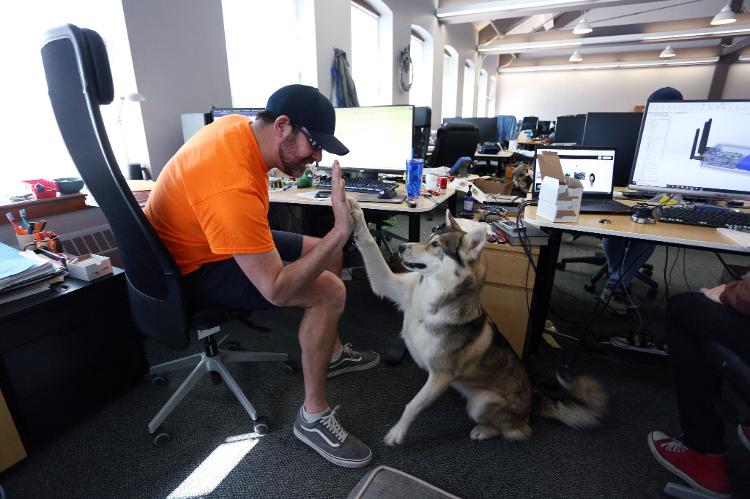 Bill Dicke, president of the Tungsten Collaborative, plays with his dog Nature - Dave Chan/AFP - Dave Chan/AFP