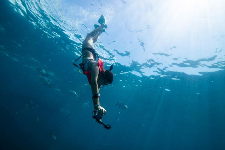Prática de snorkel na região que tem a terceira maior barreira de corais do mundo