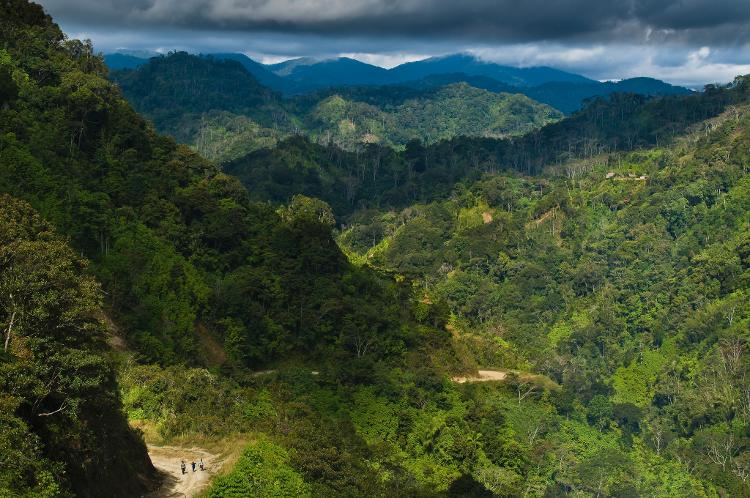 Aseki, na Papua Nova Guiné