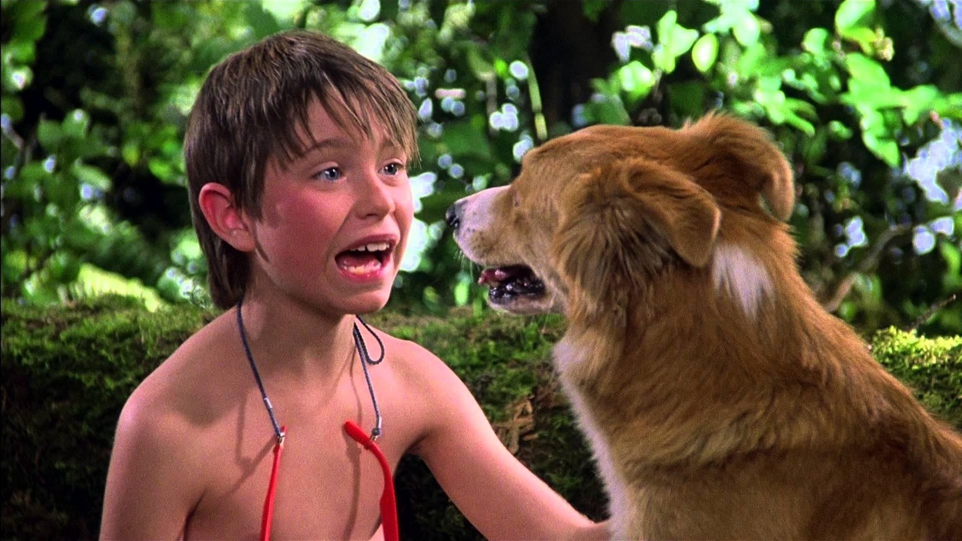 Cena do filme "Bingo - Esperto Pra Cachorro" (1991), de Matthew Robbins - Reprodução