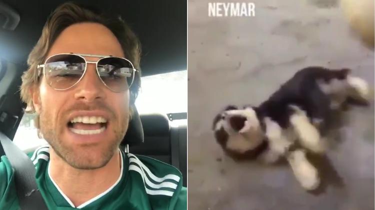 Sebastian Rulli se revolta contra Neymar e o compara a um cãozinho assustado - Montagem/UOL/Reprodução/Instagram - Montagem/UOL/Reprodução/Instagram