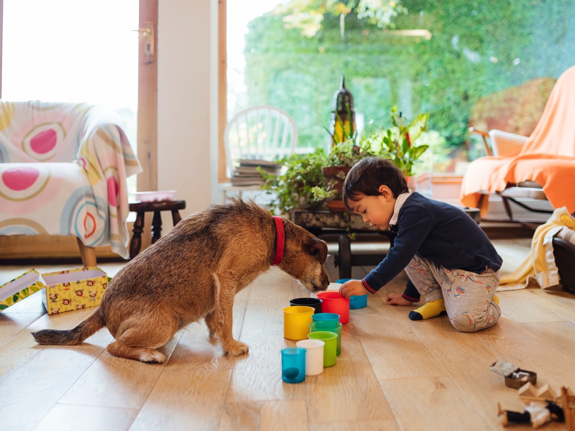 Jogo Interativo para Cães Labirinto