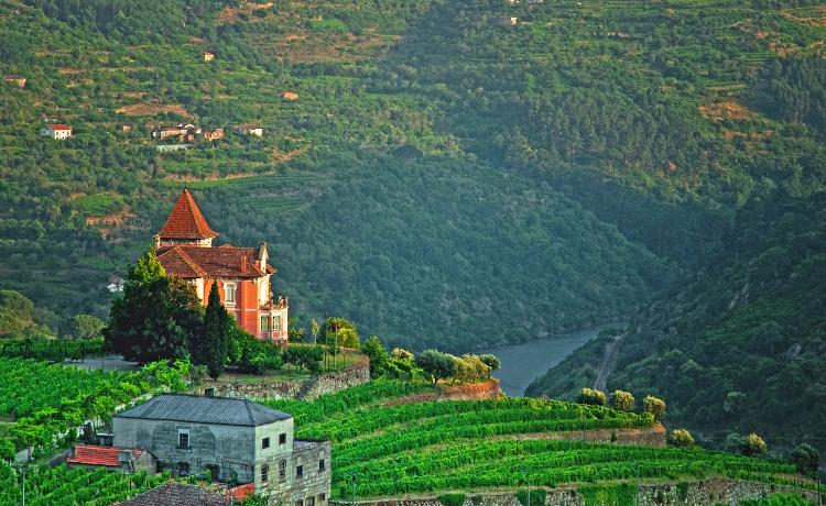Valle del Duero, Portugal - Bodonhorvath/Getty Images/iStockPhoto - Bodonhorvath/Getty Images/iStockPhoto