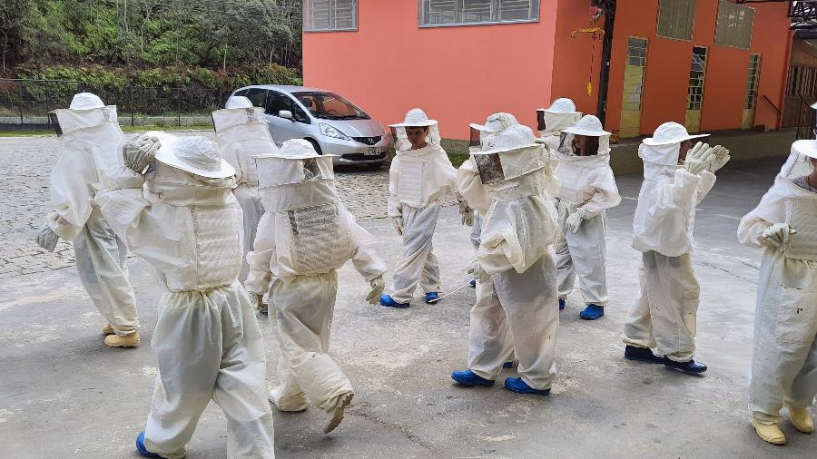 Apiário em Nova Friburgo atrai estudantes para conhecer mundo das abelhas - Divulgação