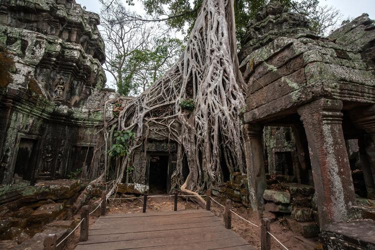 Templo Ta Prohm, no Parque Arqueológico Angkor, Siem Reap, Camboja