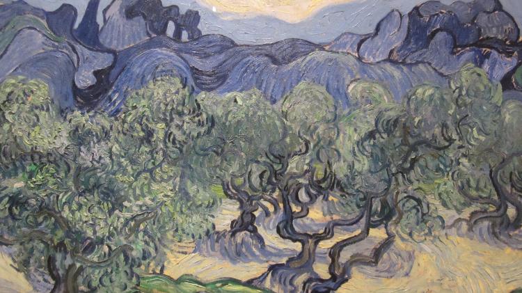 Obra "Oliveiras", de Vincent van Gogh - Reprodução - Reprodução