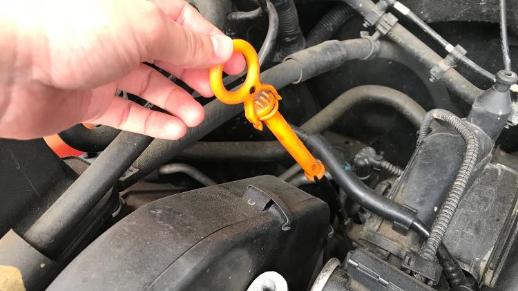 Vareta - Thais Roland - Thais Roland