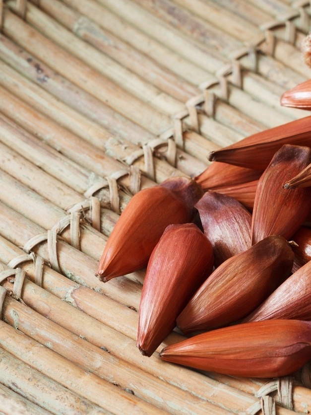 Pinhão: semente, castanha ou fruto?, Terra da Gente