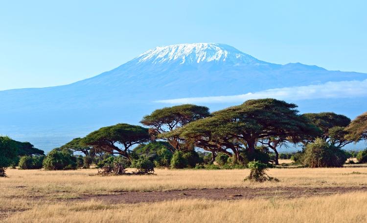 A savana africana com o Monte Kilimanjaro de fundo no Parque Nacional Amboseli, no Quênia - Kyslynskyy/Getty Images/iStockphoto - Kyslynskyy/Getty Images/iStockphoto