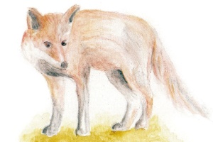 Aquarela de João Rossi que ilustra o livro "O Pequeno Príncipe Descobre o Mosteiro", de Dom João Baptista Barbosa e Sandra Witkowski - Divulgação - Divulgação