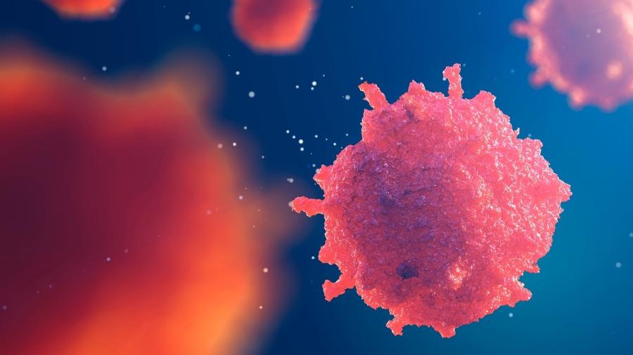 descoberta sugere que o horário da coleta de células-tronco pode influenciar o sucesso de um transplante de medula óssea no tratamento de câncer - iStock