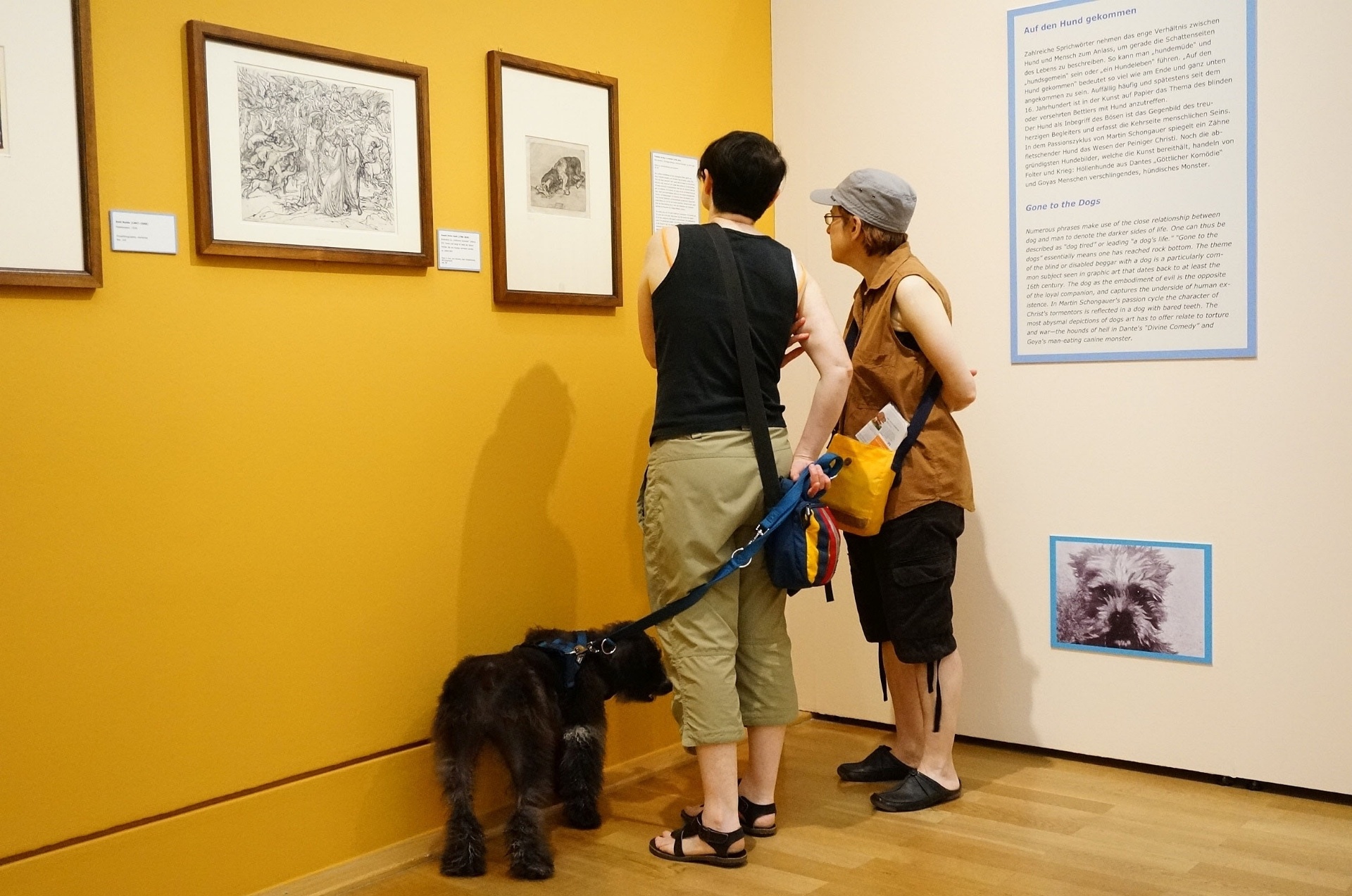 A exposição "Wir kommen auf den Hund", em cartaz até o dia 20 de setembro, reúne mais de 100 desenhos e gravuras em torno do tema canino. Há até quadros expostos na altura dos olhos dos animais - Clarissa Neher/BBC