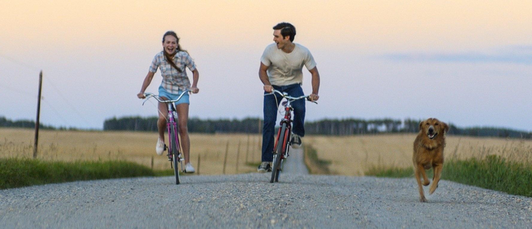 Britt Robertson e K.J. Apa em cena de "Quatro Vidas de um Cachorro" - Divulgação