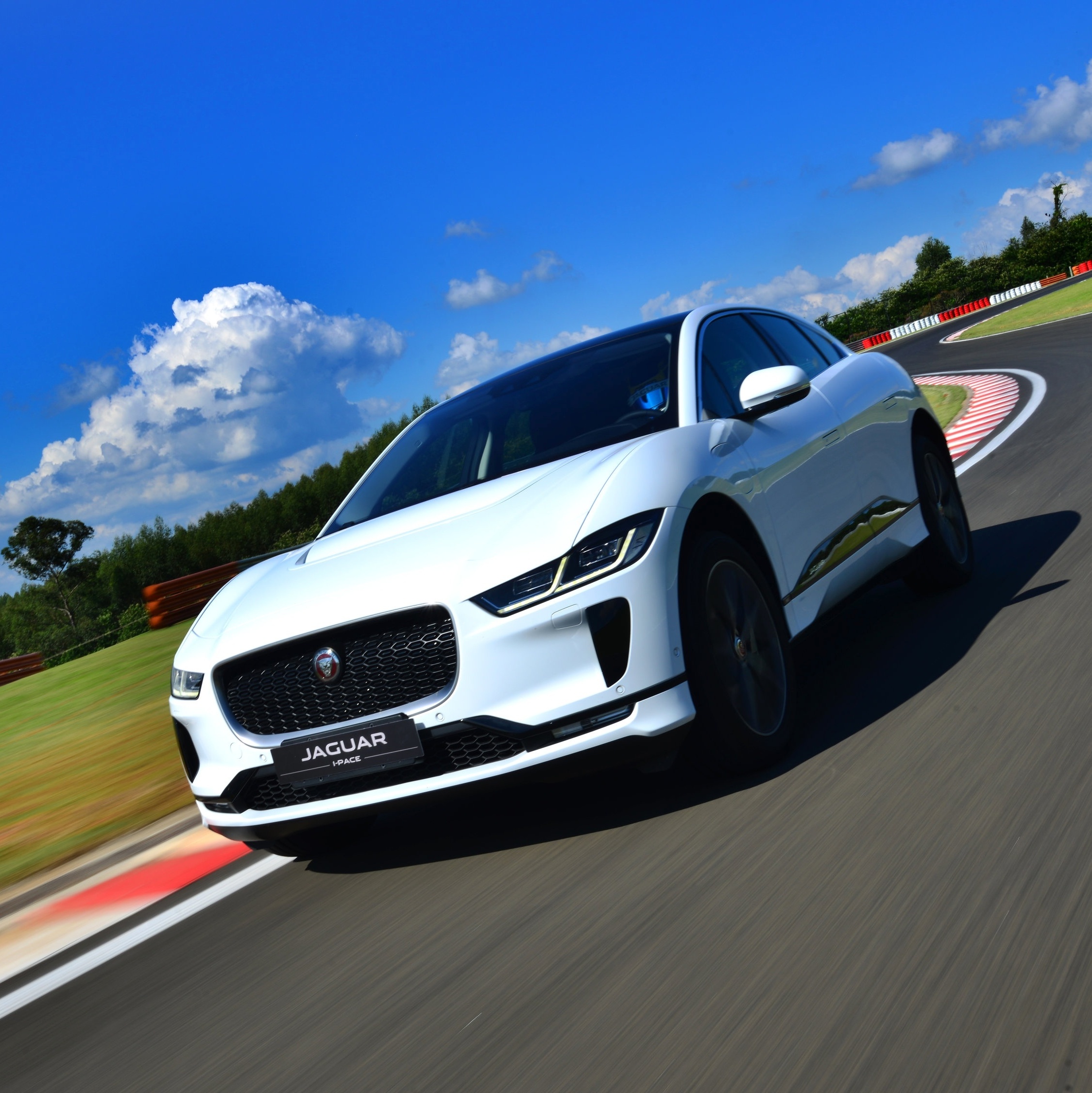 jaguar bolsas prices