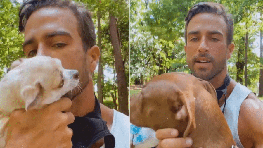 Erasmo Viana mostrou passeio com cachorros que adotou com a ex, Gabriela Pugliesi - Reprodução/Instagram