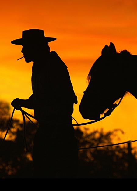Pampa gaúcho, Rio Grande do Sul - Getty Images - Getty Images