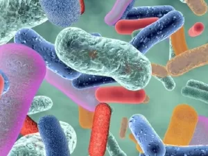Biofilme bacteriano: os efeitos negativos e positivos à saúde