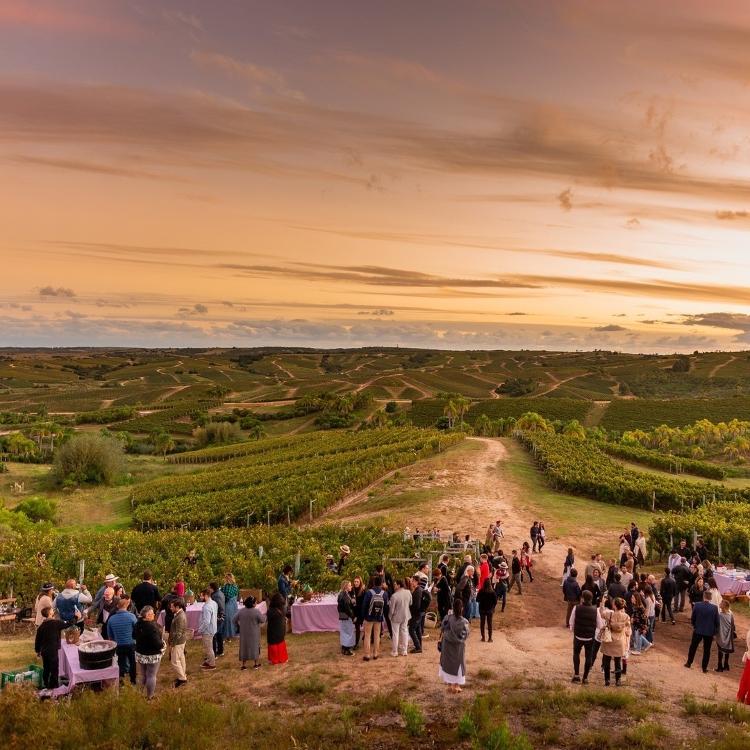 Bodega Garzón, no Uruguai - Reprodução/Instagram - Reprodução/Instagram