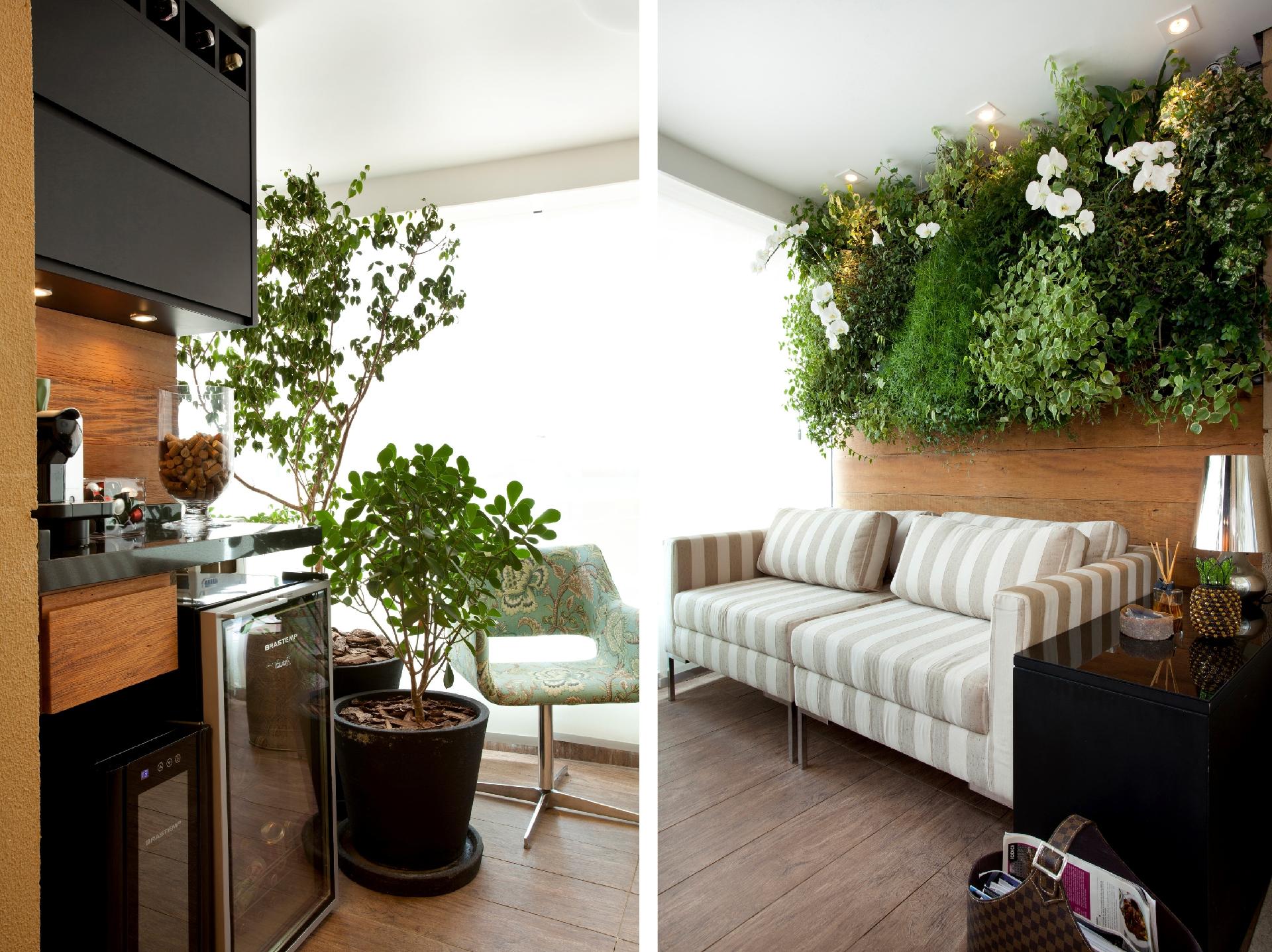 De um lado da varanda, Beatriz Quinelato dispôs um vaso com jabuticabeira, que pede irrigação regular, e um vaso com clúsia, ideal para sol pleno ou meia-sombra, exigindo regas periódicas. Do outro lado, está o paisagismo vertical com aspargo, hera, orquídea, renda portuguesa e peperômia. Nessa área, a rega é por gotejamento - Adriana Barbosa | Divulgação