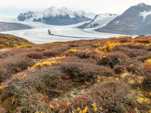 Bioma do Ártico passa a emitir mais CO2 do que absorve, diz estudo