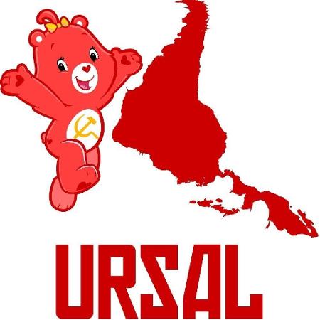 Mascote da Ursal, sensação da internet - Twitter/Reprodução