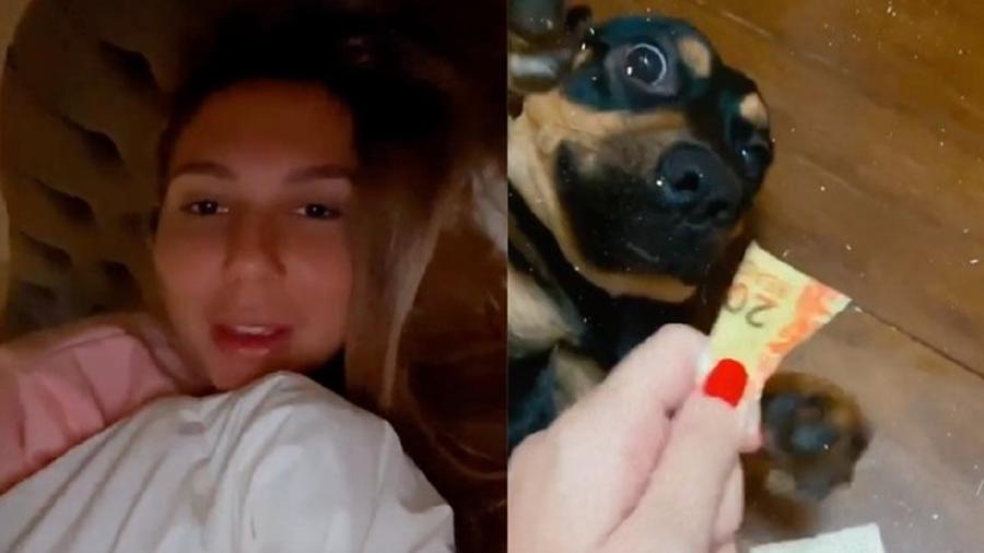 Carol Portaluppi se desespera com sua cachorra Mel - Reprodução/Instagram