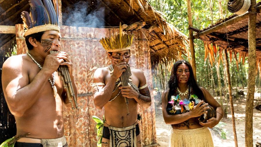 A pesquisa ouviu 533 jovens, de 15 a 22 anos de idade, de oito regiões amazônicas - iStock