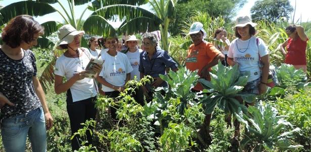 Trago Boas Notícias #24 | Feminismo e agroecologia no sertão pernambucano