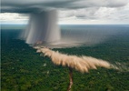 Ventos extremos derrubam árvores gigantes e raras na Amazônia (Foto: Arquivo pessoal/David Urquiza)