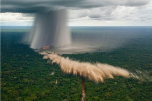 Ventos extremos derrubam árvores gigantes e raras na Amazônia (Foto: Arquivo pessoal/David Urquiza)