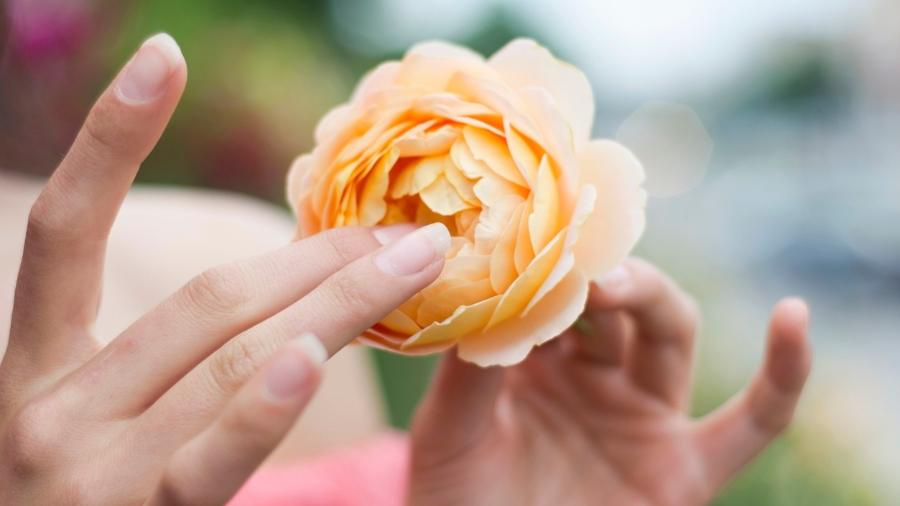 iStock