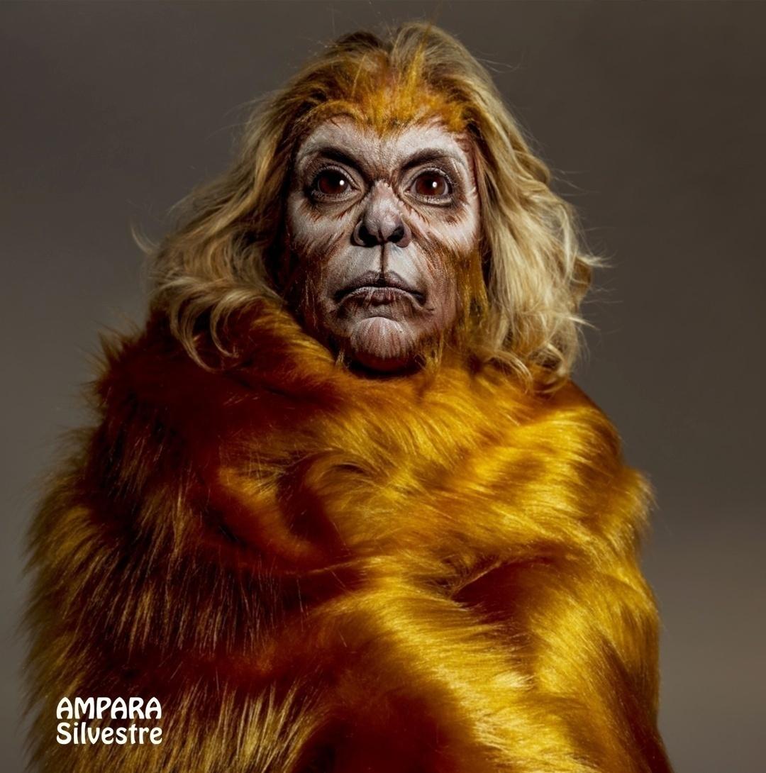 Reconhece este mico-leão-dourado? É a apresentadora Astrid Fontenelle - Jacques Dequeker/Divulgação