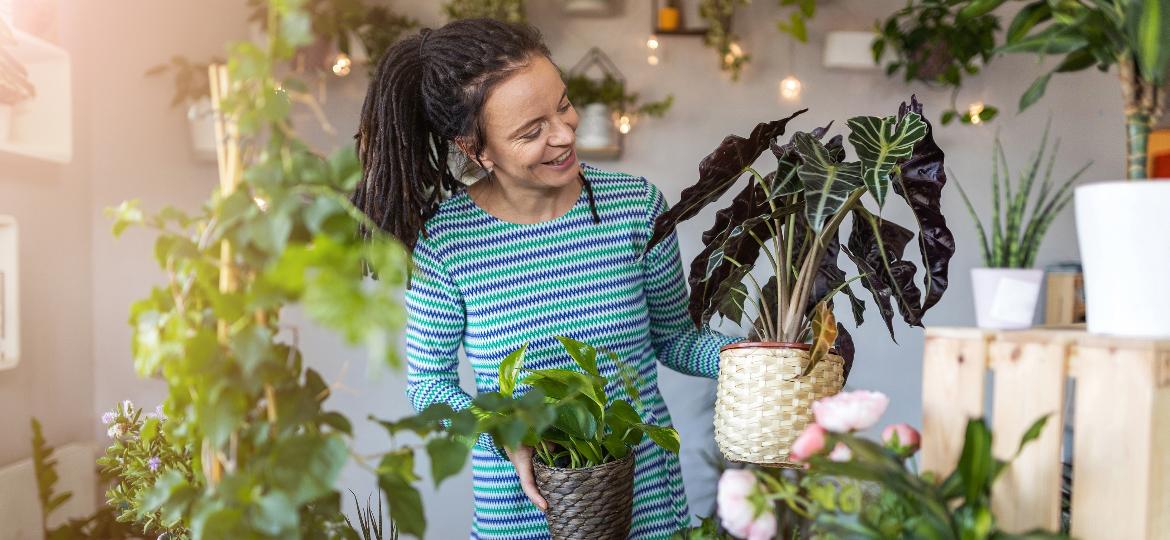 Cuidar das plantas é uma terapia, e algumas dicas de como organizar as verdinhas ajudam nessa tarefa - iStockphoto