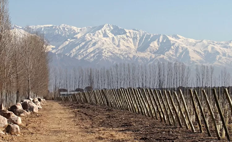 Vinícola Zuccardi é eleita a melhor do mundo em 2021 - Divulgação - Divulgação