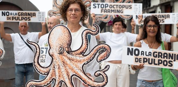 Histórias do Mar: Por que a criação de polvos em cativeiro gera protestos no mundo inteiro