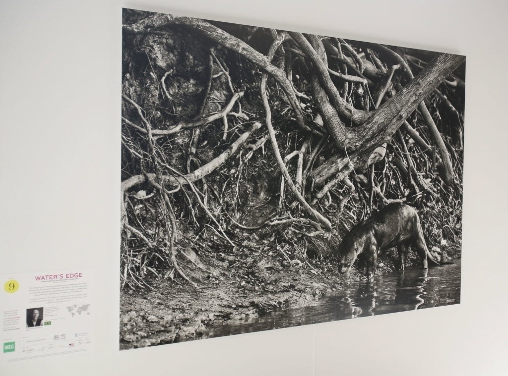 13.jul.2015 - Exposição em Toronto, sede dos jogos Pan-Americanos de 2015, traz trabalhos do fotógrafo Sebastião Salgado - Nestor Ponce/Efe