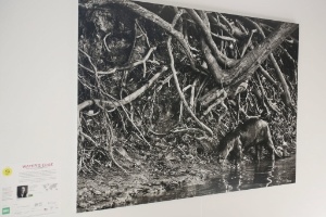 13.jul.2015 - Exposição em Toronto, sede dos jogos Pan-Americanos de 2015, traz trabalhos do fotógrafo Sebastião Salgado - Nestor Ponce/Efe