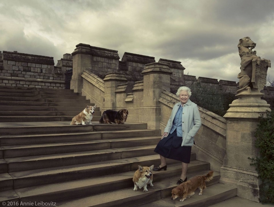 20.abr.2016 - A rainha Elizabeth, que completa 90 anos nesta quinta (21), posa para fotos ao lado de seus cachorros no Castelo de Windsor - Annie Leibovitz/Divulgação