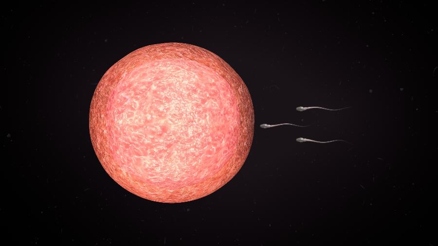 A AneVivo permite que a fecundação e o desenvolvimento do embrião ocorram no útero, em vez de no laboratório, como na FIV - Getty Images