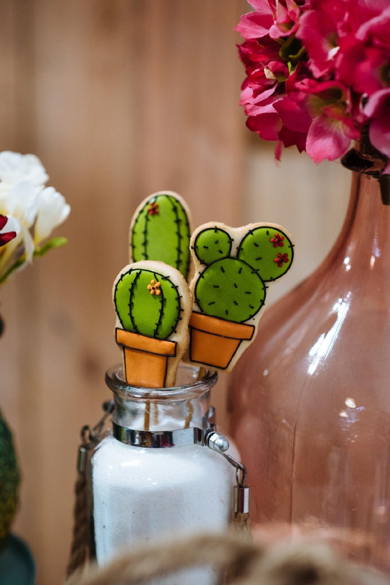 Cactos estão mais na moda - Adriana Carolina
