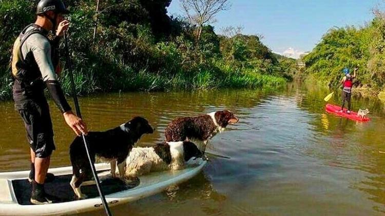 Stand Up Paddle com cães em trecho tranquilo do Rio do Peixe, em direção à cachoeira  - Divulgação - Divulgação