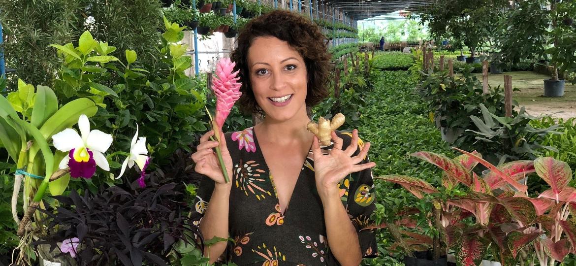 Carol Costa ensina a fazer uma horta improvisada em casa - Divulgação