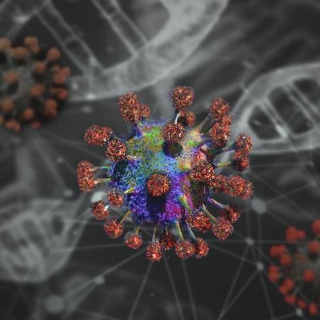 Infecção persistente foi documentada por pesquisadores do Instituto de Medicina Tropical da USP em homem de aproximadamente 40 anos com a imunidade comprometida. Diversas mutações foram detectadas por meio do sequenciamento do genoma viral em amostras coletadas ao longo do período - effelle/Pixabay