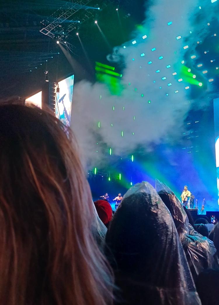 Fã do Natiruts fuma baseado durante show da turnê de despedida da banda no Allianz Parque, em São Paulo, no sábado (24)