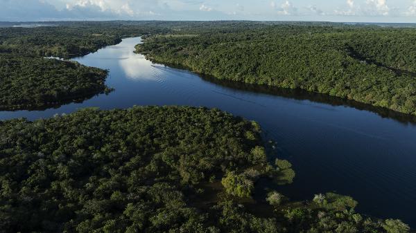 A exuberante beleza da Amazônia com a floresta em pé e rios fluindo
